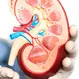 Can a Person Recover From Kidney Failure?