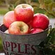 Diet and Nutrition: The Health Benefits of Apples