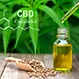 What Are the 8 Benefits of Taking CBD Oil Every Day?